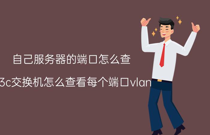 自己服务器的端口怎么查 h3c交换机怎么查看每个端口vlan？